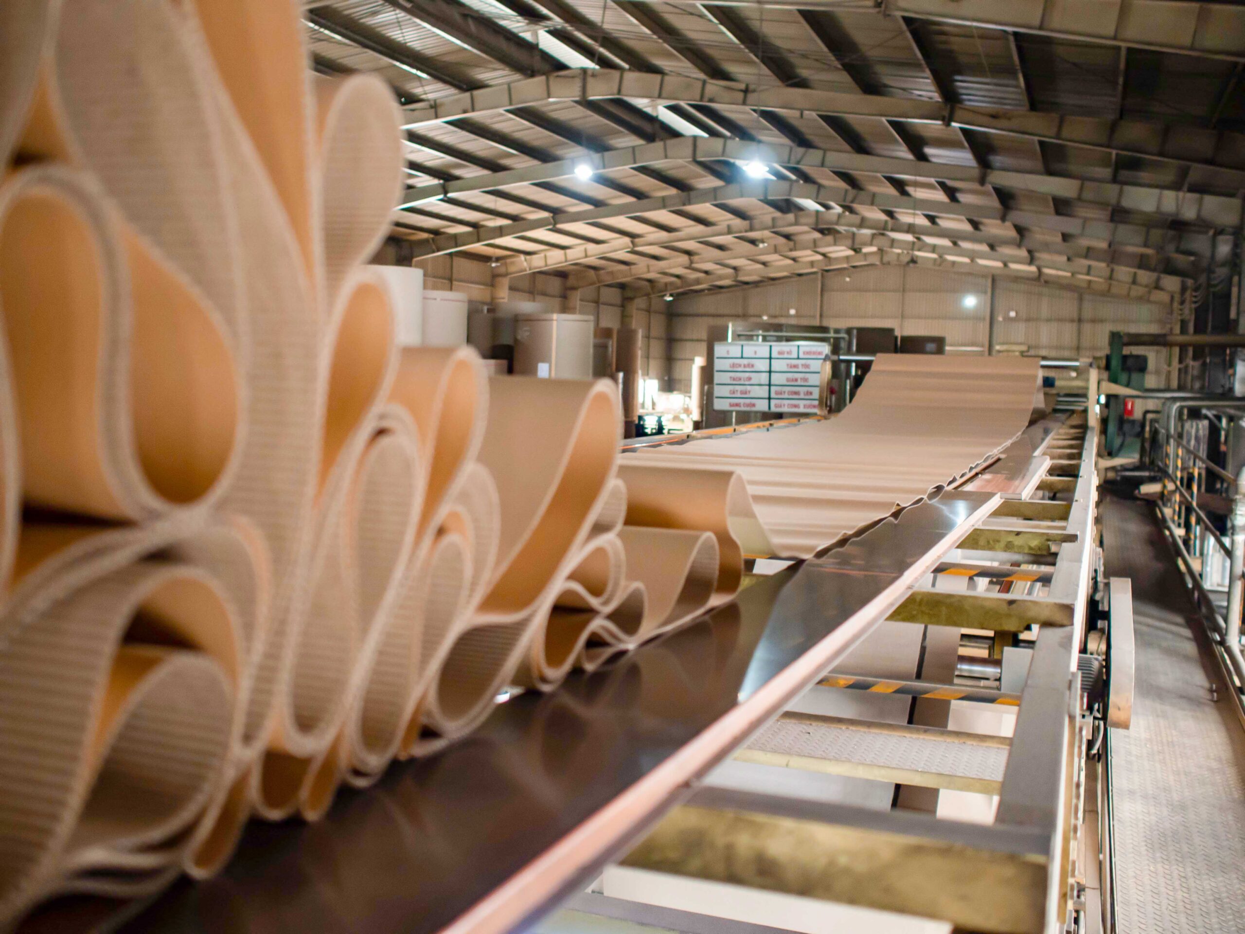 Cardboard production line in packaging factory