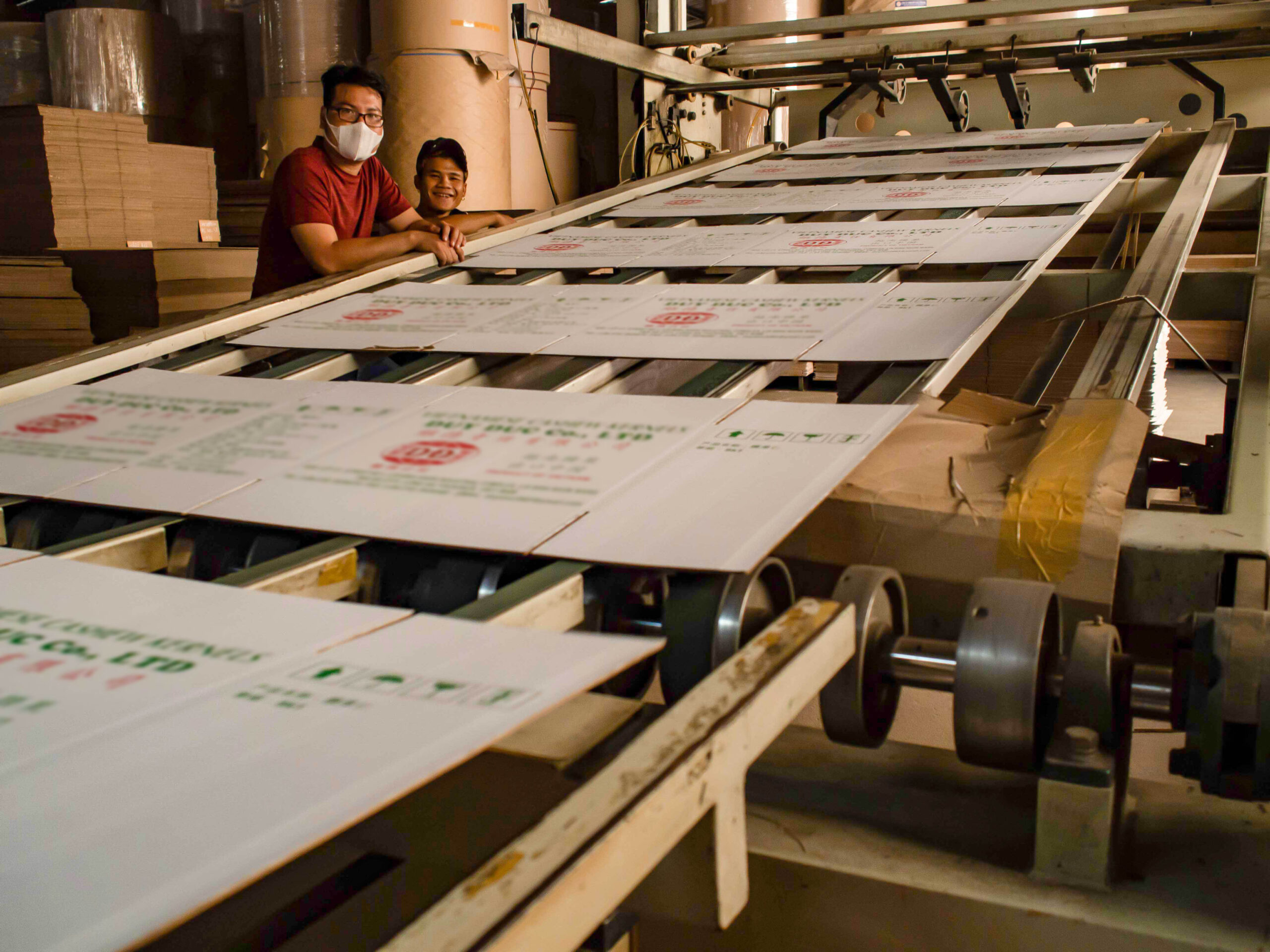 Cardboard sheets moving through production line
